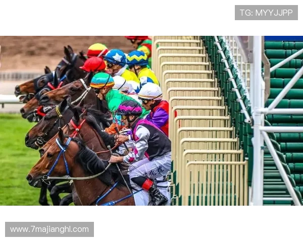 2026赛马比赛精彩回顾与赛程安排全解析