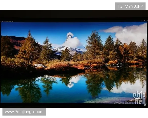 PA官网的多语言支持及国际用户体验